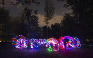 2016 Poi Licht Wiese-12