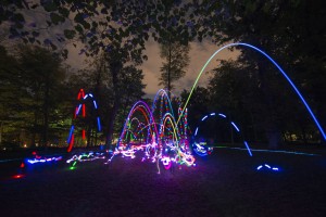 2016 Poi Licht Wiese-8